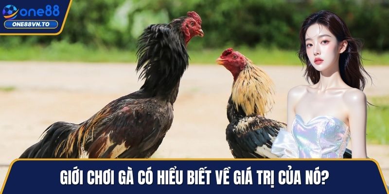 Giới chơi gà có hiểu biết về giá trị của nó?