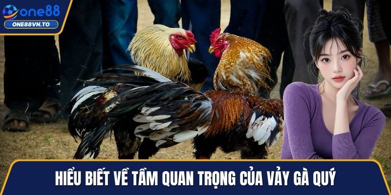Hiểu biết về tầm quan trọng của vảy gà quý