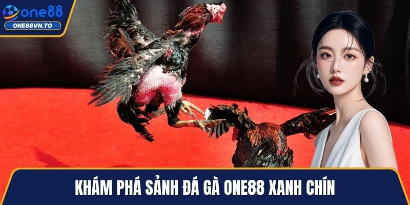 Khám phá sảnh đá gà One88 xanh chín