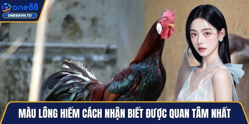 Màu lông hiếm cách nhận biết được quan tâm nhất
