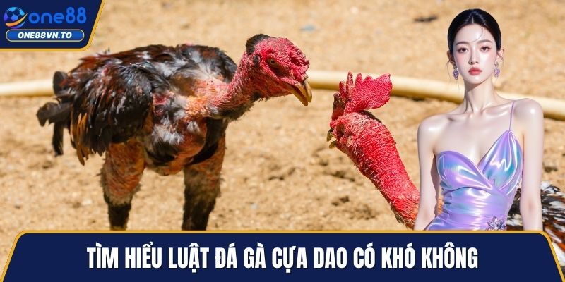 Tìm hiểu luật đá gà cựa dao có khó không