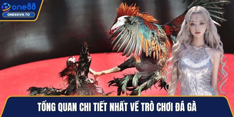 Tổng quan chi tiết nhất về trò chơi đá gà